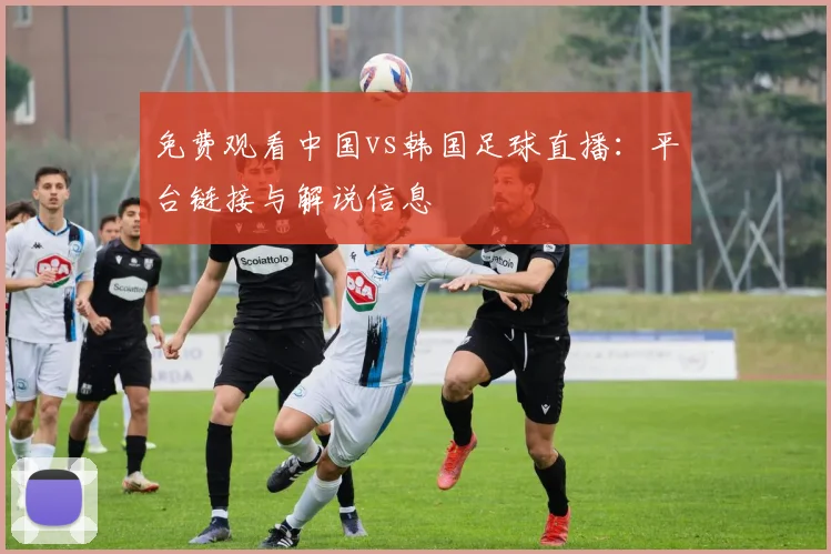 免费观看中国vs韩国足球直播:平台链接与解说信息