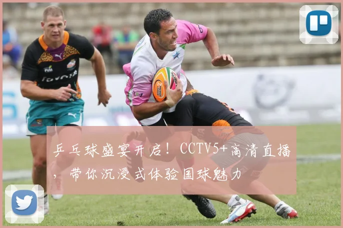 乒乓球盛宴开启！CCTV5+高清直播，带你沉浸式体验国球魅力