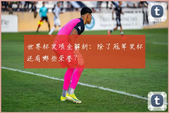 世界杯奖项全解析：除了冠军奖杯还有哪些荣誉？