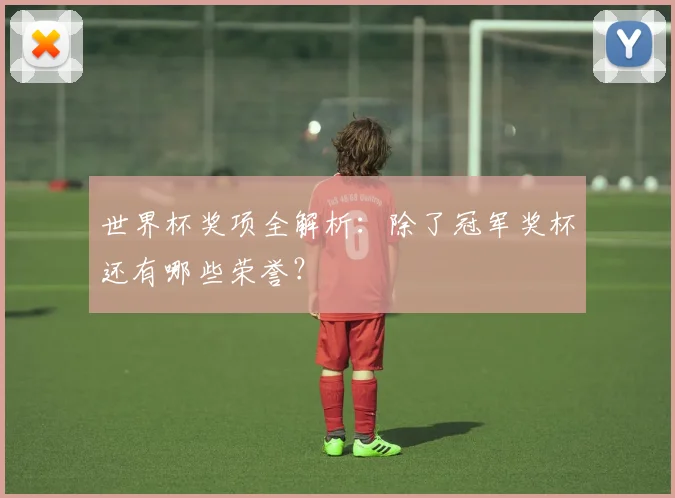 世界杯奖项全解析：除了冠军奖杯还有哪些荣誉？